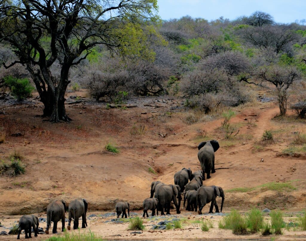 Shuttle Services Between Johannesburg and Phalaborwa