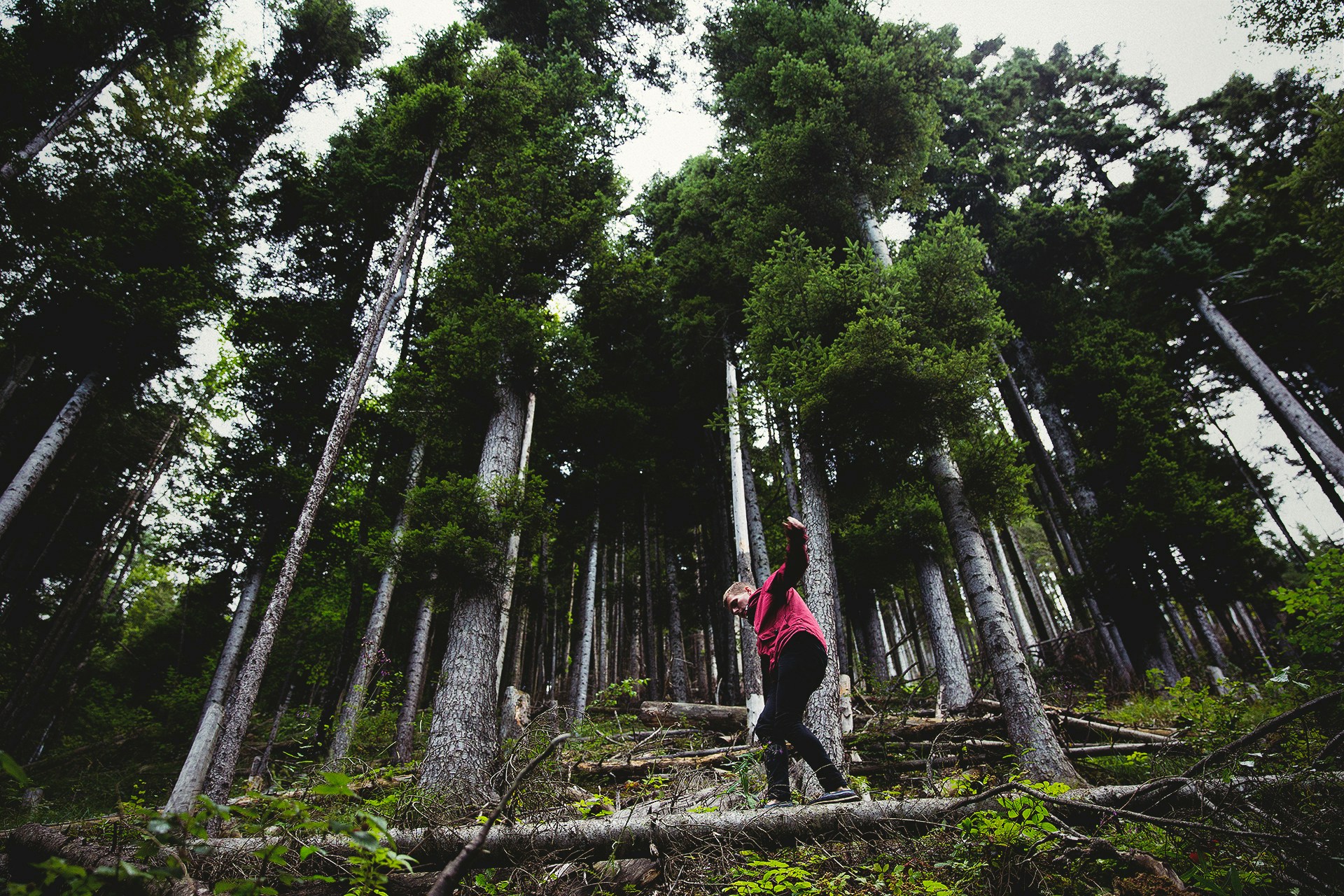 The Best Day Hikes in Cape Town The Best Day Hikes in Cape Town