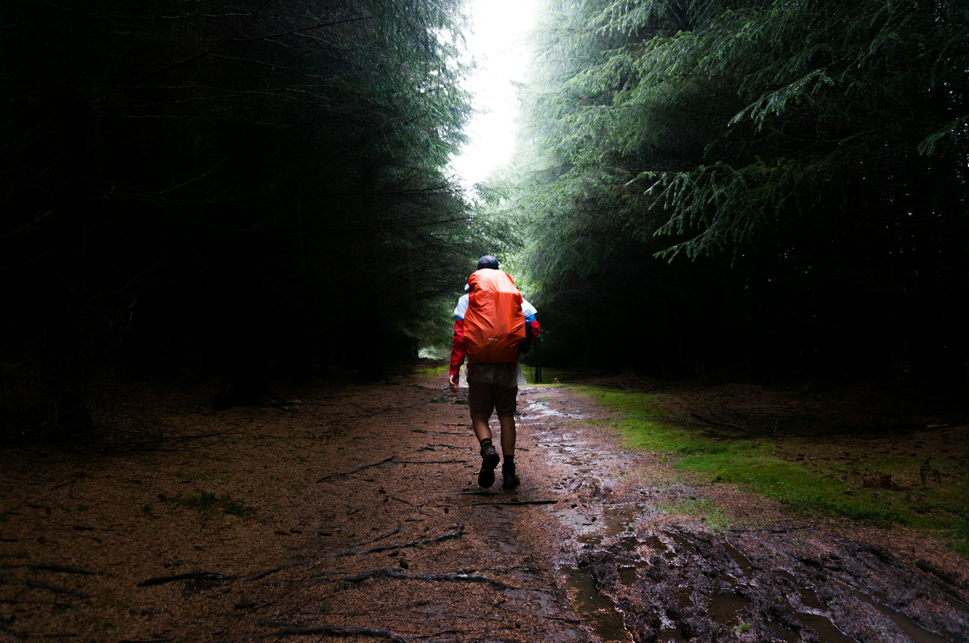 The Best Hiking Trails in KwaZulu-Natal The Best Hiking Trails in KwaZulu-Natal